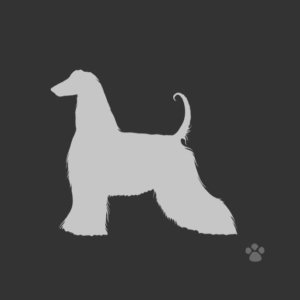 afghan hound silhouette