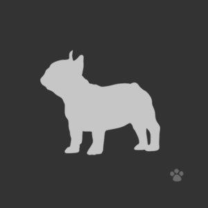 pug dog silhouette